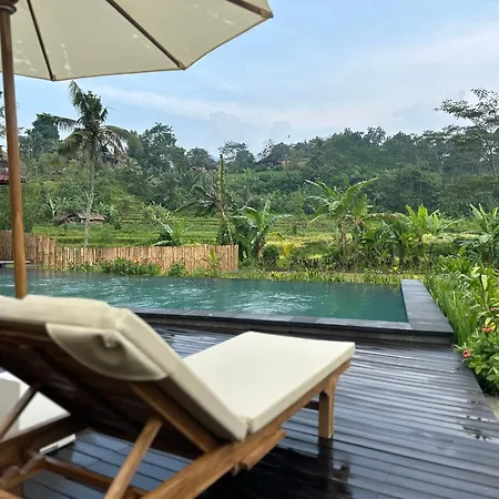 Villa Lumbung Sidemen